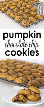 The Best Pumpkin Chocolate Chip Cookies Recipe Pumpkin Chocolate Chips Desserts Pumpkin Dessert