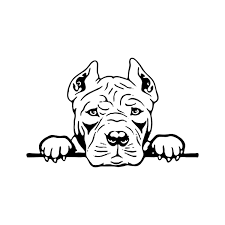 Download Pin On Brandmalerei