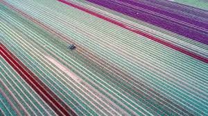 Aerial Picture Shows Farmer Mark Eaves Editorial Stock Photo