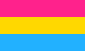 Finding a correct color combination is one of the most important steps in designing a stylish and holistic look. File Pansexuality Pride Flag Svg Wikimedia Commons