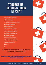 la trousse de secours pour chien et chat les confidences de celeste et etoile trousse de secours chien chat chien