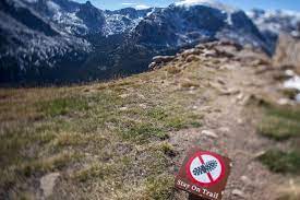 Trailhead facilities include benches and a vault toilet. File Stay On Trail Sign Forest Canyon Overlook Trail Ridge Road Rocky Mountain National Park Jpg Wikimedia Commons