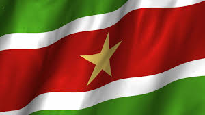 From wikimedia commons, the free media repository. Suriname Flag The Catholic News