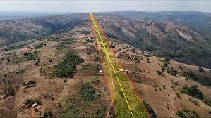 Image result for Blotiella trichosora