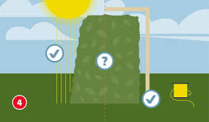 Wann mache ich das am besten und wie ??? Hecke Schneiden So Geht Es Richtig Hagebau De