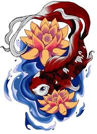 Feminine Koi Tattoo Koi Tattoo Design Lotus Tattoo Design Koi Fish Drawing
