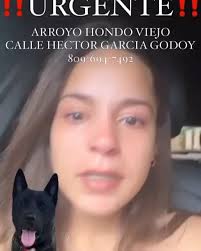 Consultando con Ana Simó