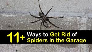 Eliminating spiders by using diatomaceous earth. 11 Clever Ways To Get Rid Of Spiders In The Garage