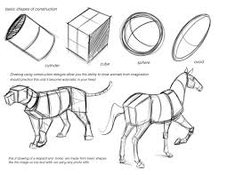 Concept Design Academy Animal Anatomy With Jonathan Kuo Easy Animal Drawings Animal Drawings Animal Anatomy
