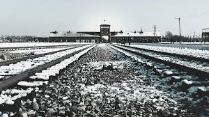 Der holocaust war ein mord an vielen menschen in der zeit, als die nationalsozialisten in deutschland regierten. Landesbischofin Zum Holocaust Gedenktag Entschieden Gegen Jede Form Von Hass Und Gewalt Nordkirche De