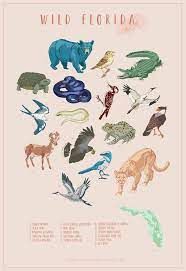 Wild Florida Florida Wildlife Corridor Poster Etsy Wildlife Florida Panther Florida