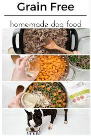 Diy Dog Food Recipes All Natural No Preservatives Grain Free Simple Healthy Raw Dog Food Recipes Dog Food Recipes Healthy Dog Food Recipes