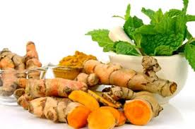 Sementara jahe mengandung gingerol yang bisa meningkatkan daya tahan tubuh bila diminum secara rutin, ujar evi dikutip sabtu (21/3). Jangan Pernah Menggunakan Kunyit Jika Sedang Dalam Pengobatan Ini Semua Halaman Nakita