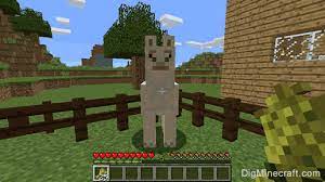 Please comment on what i should do for my next part in minecraft series! How To Tame And Ride A Llama In Minecraft