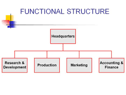 team members in an organization roles responsibilities