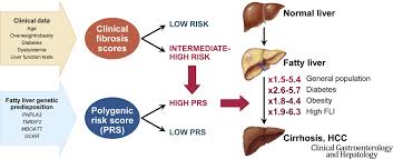 Image result for Fibrosis Probability Score