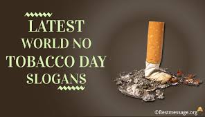 World no tobacco day 31st may poster image. World No Tobacco Day Slogans Anti Tobacco Slogans Best Message