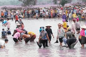 Lễ hội Phá Bàu