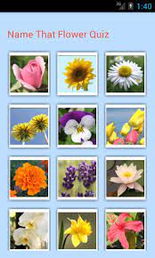 You can use this swimming information to make your own swimming trivia questions. Name That Flower Quiz Amazon Com Appstore For Android