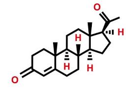Image result for Progesterone
