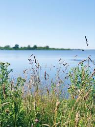 Ontdek De Verassende Natuur In De Provincie Groningen Made By Ellen Groningen Natuur Natuurlijk Landschap