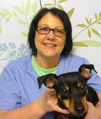 Meet Our Veterinarians & Dedicated Team