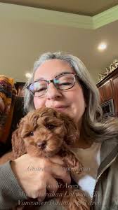 It's been a few days now since these munchkins headed home! We hope they  are all starting to settle into their new environment with their new  families. Big scratches & love to