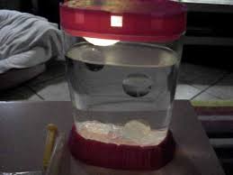 I used a siphon that i got from the dollar store(or somewhere) costs about $5. How To Light Your Sea Monkey Tank Youtube