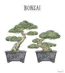 I assumed they were a special kind of tree. Bonsai Gifs Get The Best Gif On Giphy