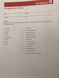 Study flashcards on bone markings w/ pictures at cram.com. Solved Lab Review 8 The Appendicular Skeleton Name Date L Chegg Com