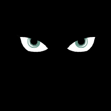 Image result for someone is watching you