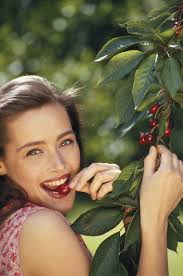 Soil for Planting a Cherry Tree