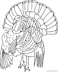 The first two pages of coloring pages feature turkeys but keep going to find other thanksgiving coloring sheets. Royal Palm Turkey Coloring Page Coloringall