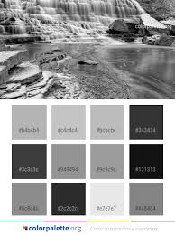 Black And White Color Scheme Website Water Nature Black And White Color Palette Colors Inspiration Graphics Design Inspiration Beautiful Black Color Palette Color Palette Grey Color Palette