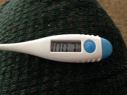 Good Mothers Own Thermometers Peaceof8
