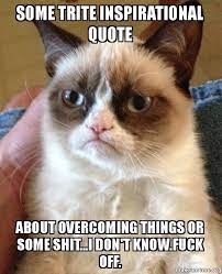 Some Trite Inspirational Quote About Overcoming Things Or Some Shit I Don T Know Fuck Off Grumpy Cat Make A Meme