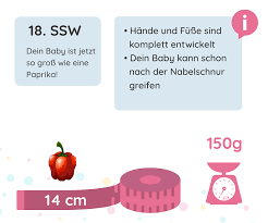 Ich habe mein erstes baby in der 16. 18 Ssw Schwangerschaftswoche