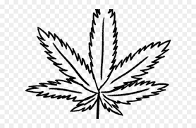 Weed Clipart Frame Weed Drawing Png Transparent Png Vhv Over 164 marijuana png images are found on vippng. weed clipart frame weed drawing png