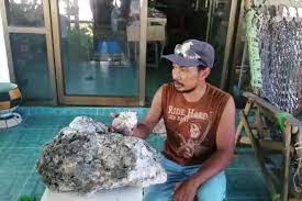 Artikel merupakan jenis tulisan yang populer dan banyak dihasilkan oleh para penulis. Mengenal Apa Itu Ambergris Dan 5 Fakta Tentang Muntahan Paus Sperma Halaman All Kompas Com