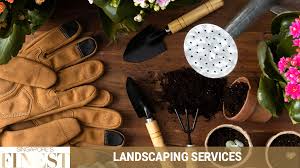 We did not find results for: The Finest Experts On Landscape Services In Singapore Finest Services