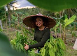 Fine cacao and chocolate institute. Youthimpactforum V Twitter Youth Spotlight At Just 20 Years Old Louise Mabulo Has Various Awards Including Founding The Cacao Project The Cacao Project Is A Program Focused On Uplifting The Lives Of