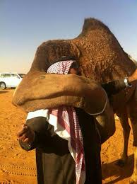 أبرزت صورة تناقلها نشطاء على مواقع التواصل الاجتماعي نوعا نادرا من الوفاء عب ر عنه 8220 جمل 82 Animated Movies Funny American Funny Videos Funny Baby Images