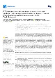 Image result for Syzygium rowlandii