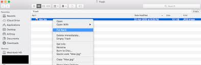 Type this command with the name of the file you want to recover using this format mv xxx.xxx where xxx.xxx is the full filename and extension. How To Free Recover Deleted Files On Your Mac
