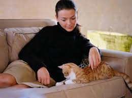 Unsere ersten beiden durften auch nicht rein, wir fanden, dass sie genug. Zu Mir Oder Zu Dir So Bestimmen Sie Den Schlafplatz Ihrer Katze Industrieverband Heimtierbedarf