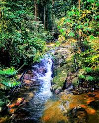 Hutan rekreasi sungai tekala (gps: Sungai Tekala Recreation Forest Semenyih Selangor 03 2616 4488 Https Goo Gl Maps Sxuwnsdijbd2 Https Foursquare Com Soonlung81 Transportation Service äº¤é€šæœå‹™ Servicio De Transporte Service De Transport Ø®Ø¯Ù…Ø© Ø§Ù„Ù†Ù‚Ù„ Transportnye Uslugi Http