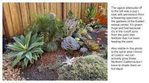 San gabriel valley cactus and succulent winter show and sale saturday, january 11 and sunday, january 12, 2020 los angeles county. Brody S Lovely Low Cost Succulent Garden Debra Lee Baldwin