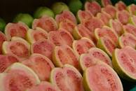 Image result for what fruits are native to puerto rico