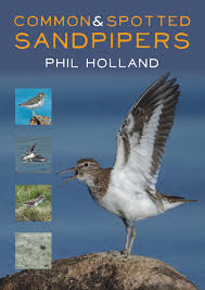 Birds Of South Africa Book Pdf New Book Common Spotted Sandpipers New Books Sandpiper Bird Book