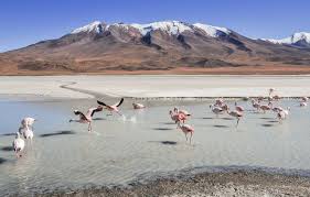 This 10 day south america's stunning uyuni salt flats itinerary allows you to explore the unworldly desert landscapes and salt flats across southern bolivia … Bolivian Salt Flats Tour Exploring South America S Weirdest Landscape On My Canvas